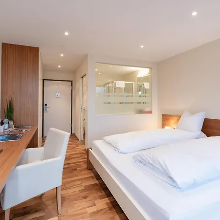 Hotel Roessli 3*