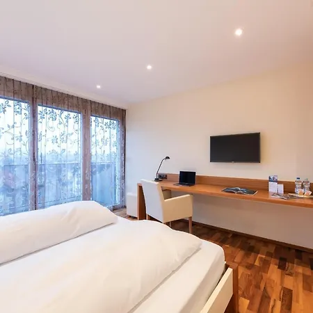 Hotel Roessli 3*